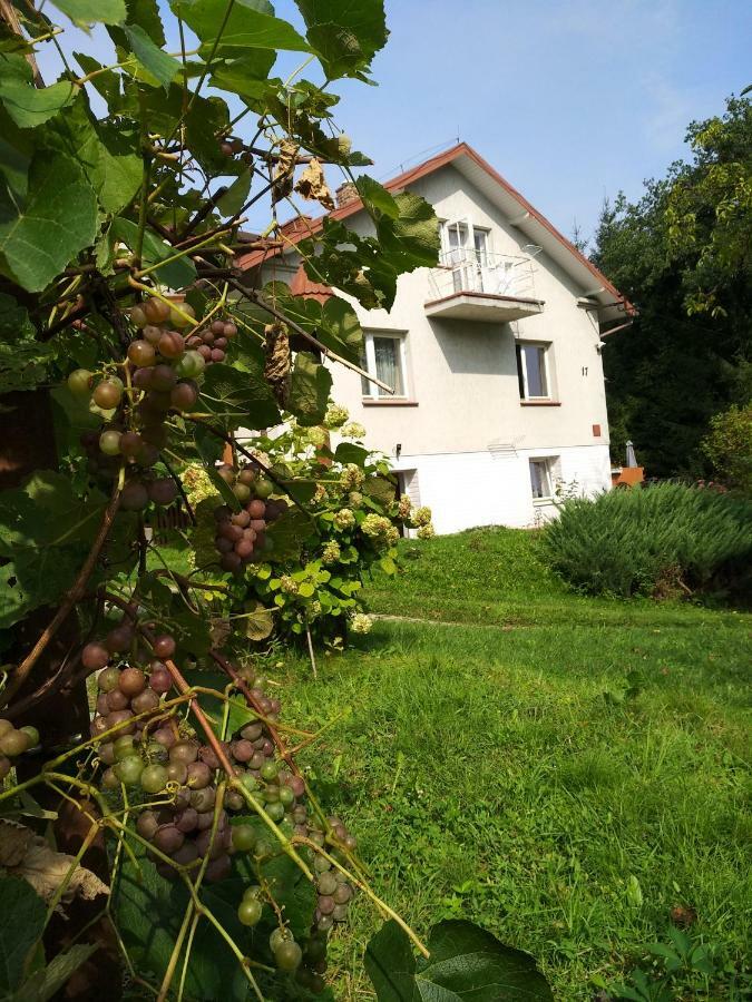 Dom na wzgórzu Apartamento Gorlice Exterior foto